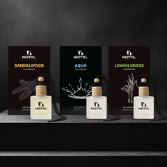 Fruit & Ice - Hanging Car Perfumes (Pack of 3)
